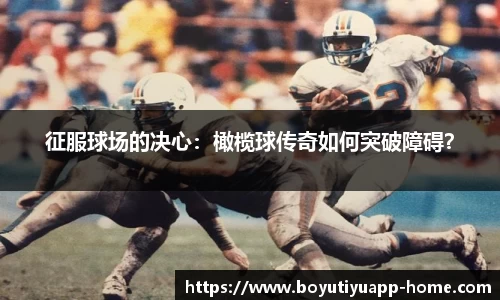 博鱼体育app